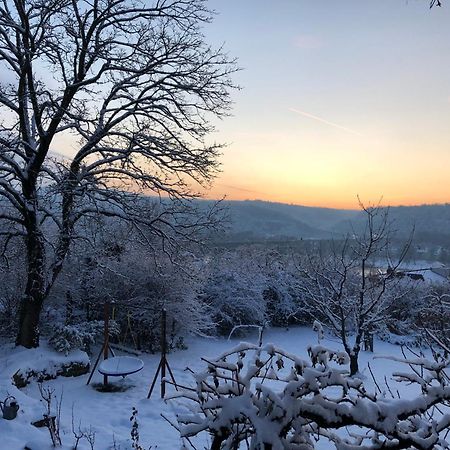 Ueber Den Daechern Von Koblenz - Aussichts-Wohnung Naturpark Rheinblick, Ruhig, Zentrumsnah, Sport-Pool Экстерьер фото