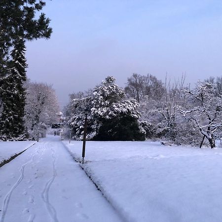Ueber Den Daechern Von Koblenz - Aussichts-Wohnung Naturpark Rheinblick, Ruhig, Zentrumsnah, Sport-Pool Экстерьер фото