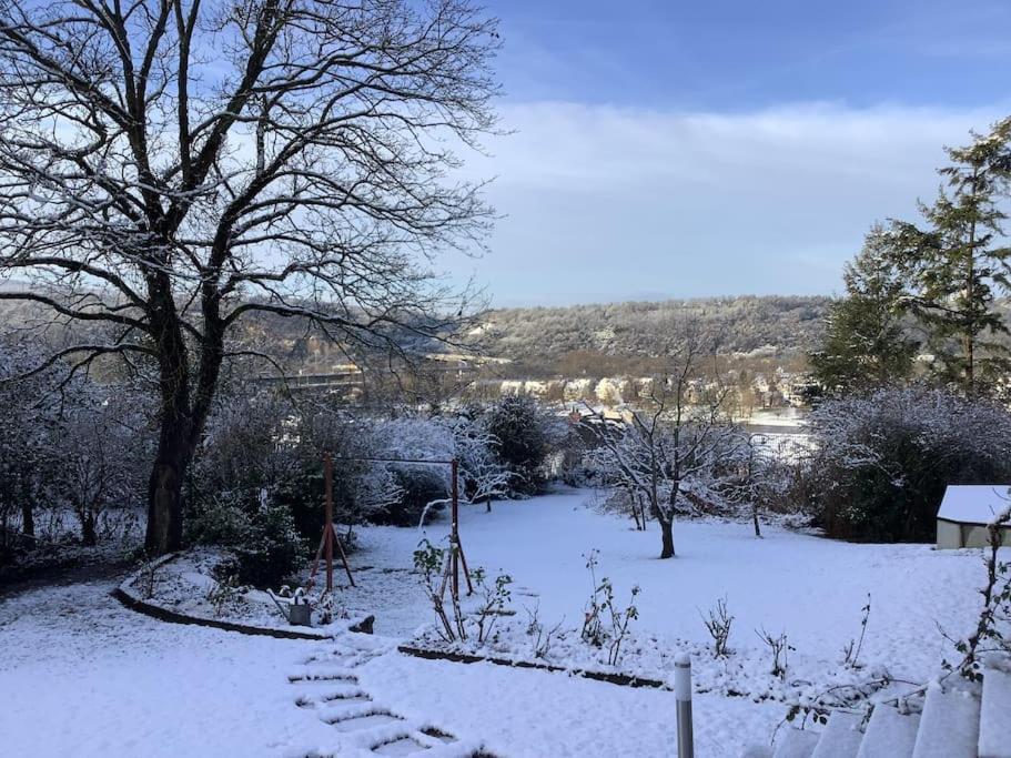 Ueber Den Daechern Von Koblenz - Aussichts-Wohnung Naturpark Rheinblick, Ruhig, Zentrumsnah, Sport-Pool Экстерьер фото