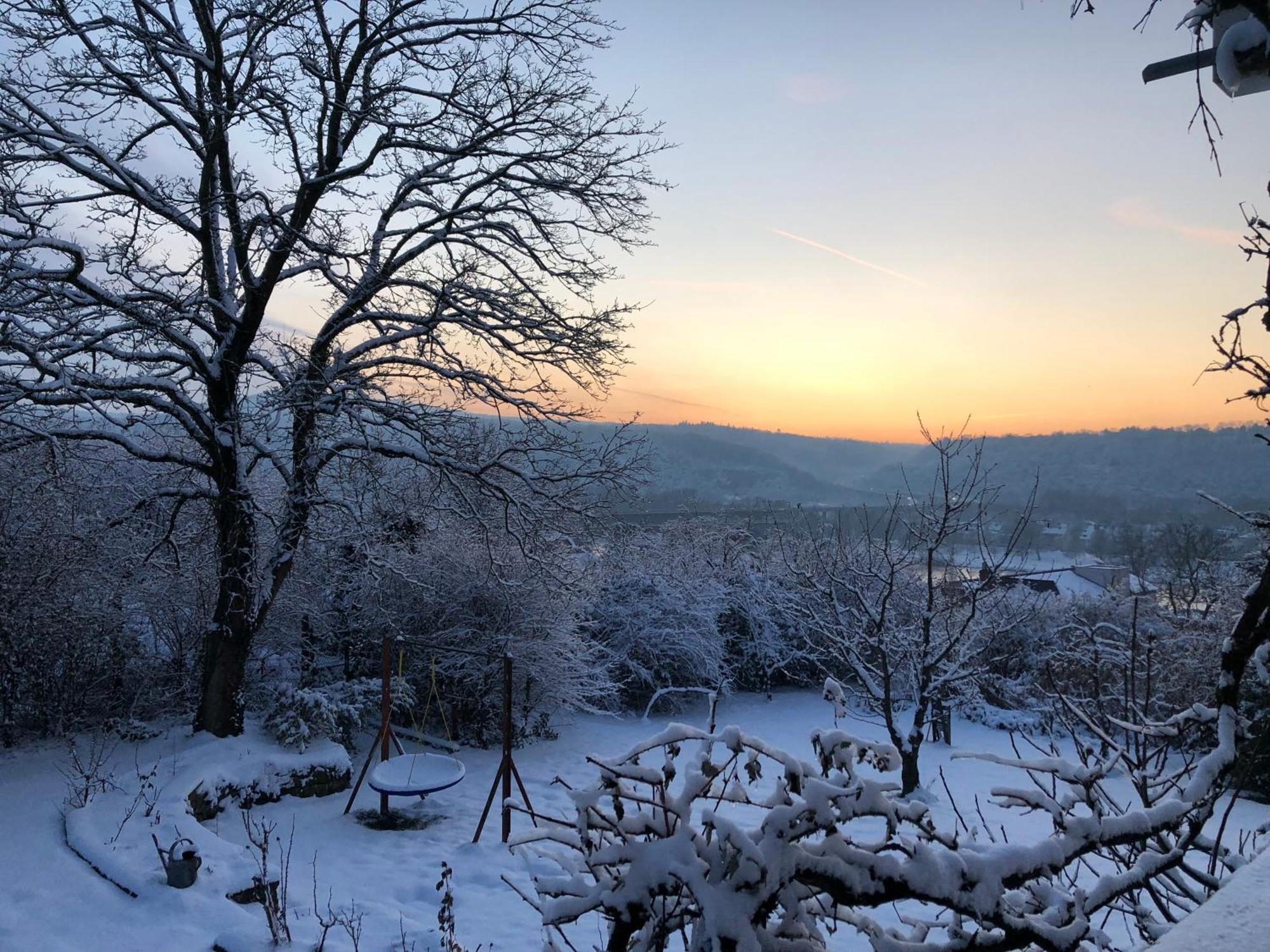 Ueber Den Daechern Von Koblenz - Aussichts-Wohnung Naturpark Rheinblick, Ruhig, Zentrumsnah, Sport-Pool Экстерьер фото